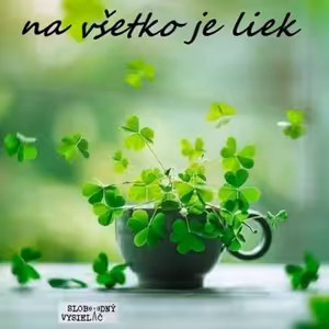 Na všetko je liek 153 - 2025-12-27 „Naša Štedrá večera a TČM“