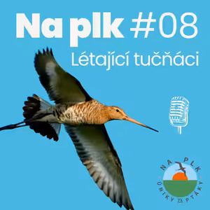 Na plk #08: Jak ztloustnout a nezbláznit se z toho