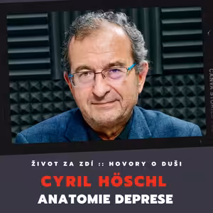 ANATOMIE DEPRESE - CYRIL HÖSCHL