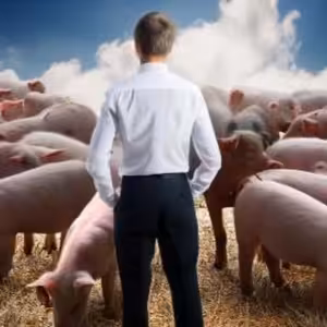 Člověk nad tisíce sviní