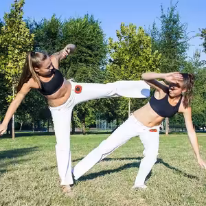 Capoeira (Martin Fogo Halász)