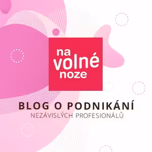 Robert Vlach: Kariérní úklid