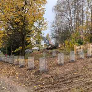 #06: Jarní výsadby a ovocné keře