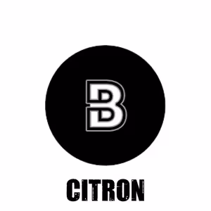 Radim Pařízek - CITRON