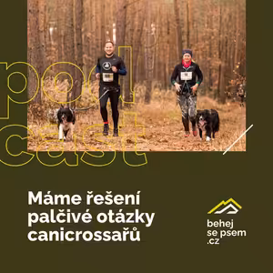 Jak dlouhý by měl být canicrossový trénink?