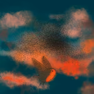 O Grétky ptačím tanci + relaxace v letu