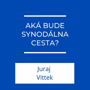 Aká bude synodálna cesta? | Jeden na jedného