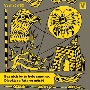 #32 Bez nich by tu bylo smutno. Divoká zvířata ve městě