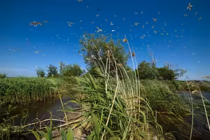 Měla by být Kachovská přehrada znovu postavena?