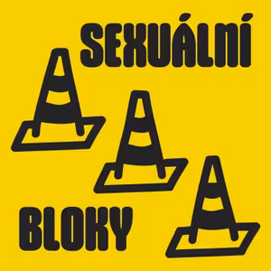 #193 SEXUÁLNÍ BLOKY: Co nás brzdí v posteli a jak to změnit?