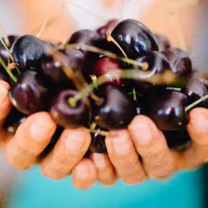 Zdrojem našeho dobra je Bůh