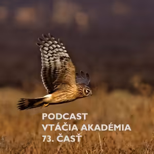 Máme informácie z prvej ruky o odchyte kolibiarika stužkatého, ktorý bude 381 vtáčím druhom na Slovensku