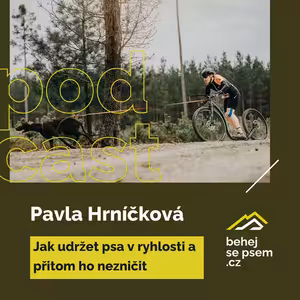 Jak udržet psa v rychlosti a přitom ho nezničit | Pavla Hrníčková