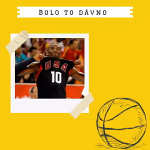 x19 Národný tím USA od roku 1992 po súčastnosť.