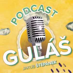 Šílená výzva teprve přijde, glosuje volby svérázná bloggerka Rozvedená matka