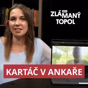 Babišova vláda ignoruje rozhodnutí Ústavního soudu, tvrdí Topolánek