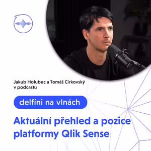 Aktuální přehled a pozice platformy Qlik Sense