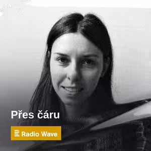 Přes čáru se Šlerkou, Křečkem a Charvátem: Normalizuje se v české politice extremismus?