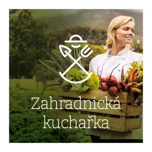 1 Články jinak – vánoční hvězda