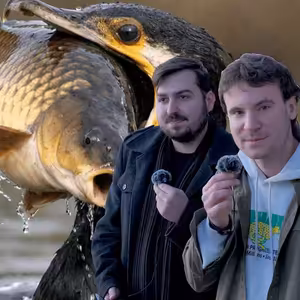 Ep.14 - Kormoránův apetit