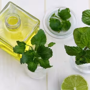 Aromaterapie na každý den, 2. část, Jak provonět kuchyň-Tou-Jou