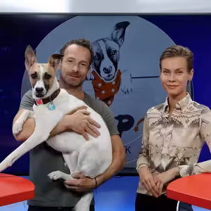 Tvůrce psího hrdiny Gumpa Filip Rožek bojuje proti množírnám: Psí byznys v covidové době děsivě narostl