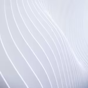 6.deň meditácií HOJNOSTI