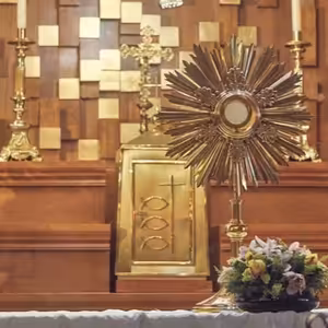 K Jezisi v eucharistii skrze Pannu Marii CZ 02122020