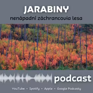 Jarabiny - nenápadní záchrancovia lesa