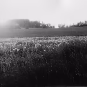 Marie Junová: Skrýš