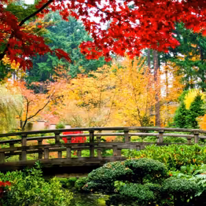 Dopoludnie na Infovojne s Adrianom 6.5.2025