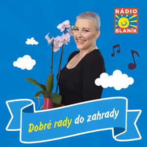 DOBRÉ DOBRÉ RADY DO ZAHRADY NA RÁDIU BLANÍK- Petunie