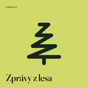 Zprávy z lesa