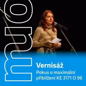 Vernisáž | Pokus o maximální přiblížení KE 3171 O 96