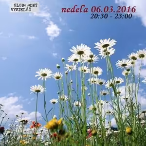 Spirituálny kapitál 88 - 2016-03-06 Ranený uzdravovateľ