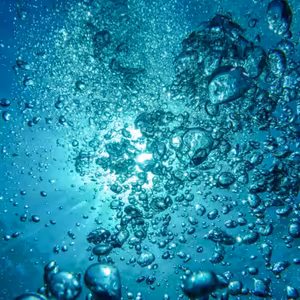 Vodstvo Dánska aneb světový den vody