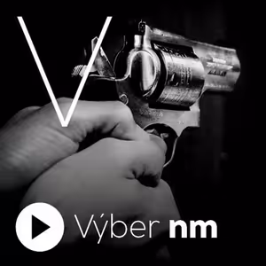 Dohodli sa. Americkí senátori dosiahli kompromis pri návrhu na zbraňové opatrenia