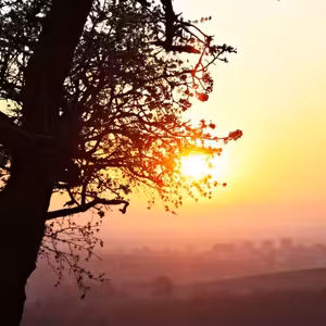 Utorok vo Veľkonočnej oktáve