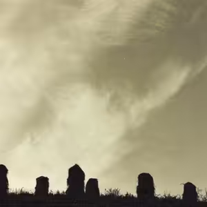 Zátišie (Still life)