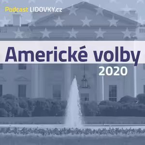 Americké volby pro začátečníky. Volební napětí vrcholí, jaké byly volební kampaně?