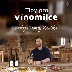 Tipy pro vínomilce • s enologem Honzou Koubkem • 28. 3. 2022