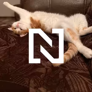 O kocourovi, který odhalil povahu ruského národa