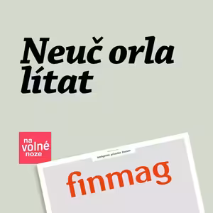 Neuč orla lítat | Finmag seriál Na volné noze