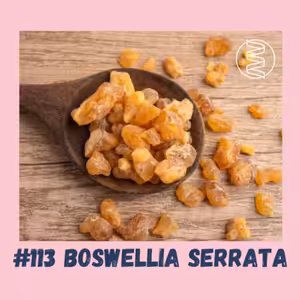 #113 BOSWELLIA SERRATA - KADIDLOVNÍK PILOVITÝ / epigenetika, klouby, svaly, šlachy, zánět, mikrobiom, artróza, artritida, chrupavka, ateroskleróza, ADHD, deprese, boswelie serrata