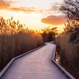 Služby Božie 21. 3. 2024 | Čo nasleduje po pokání