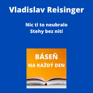 Vladislav Reisinger - Nic ti to neubralo + Stehy bez nití