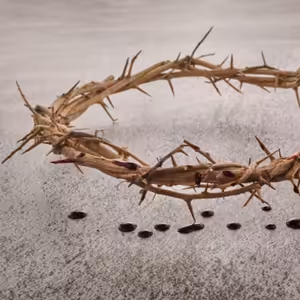 Služby Božie 29. 12. 2024 | Hrozba Kristovho kráľovstva