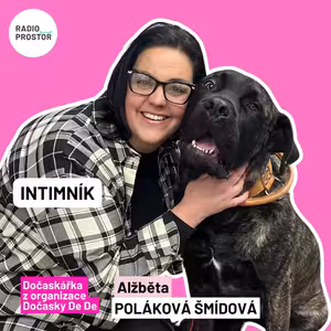 Léčba jednoho pejska, kterého mám v péči, se zatím vyšplhala na 100 tisíc. My dočaskáři pečujeme o opuštěná zvířata zdarma