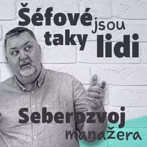 Seberozvoj u manažerů a leaderů