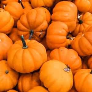 Halloween 3 - Strašidelné zaujímavosti.